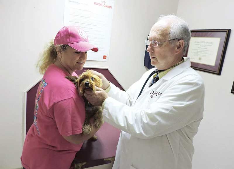 Ветеринарная клиника в городе Зарайске Московской области